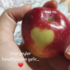 Evremmm42