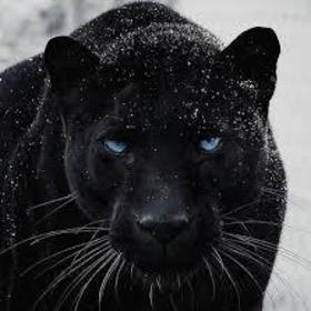 darkness-91