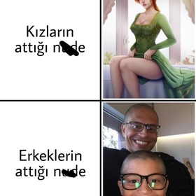 H4DES