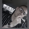 emre00488