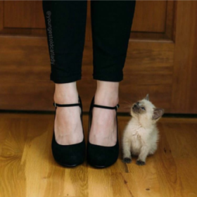 MinnieMose