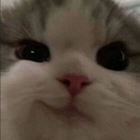 animeciyoongiyim