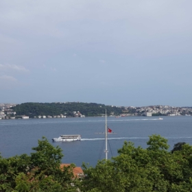 hsynn288