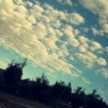 yagmur__damlasi