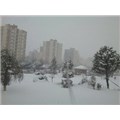 SİVASLI34