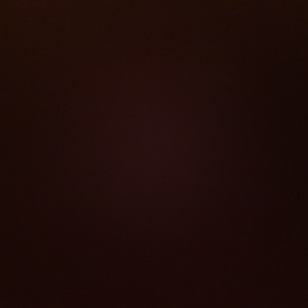 Xxxxx2295
