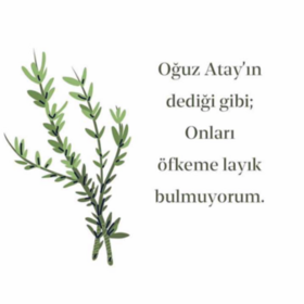 Nefessk