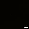 Tipsizman035
