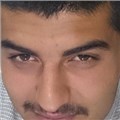 DiReNoO