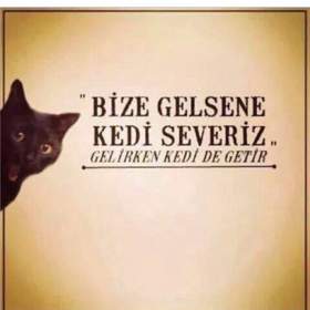 semiramist000