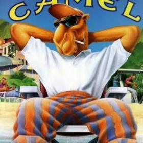 Cameljoe