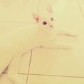 Berraaak