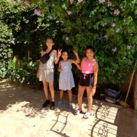nehir267