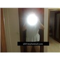 ali41m