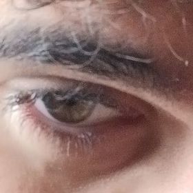 ffsdfsf