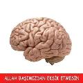 siyahistmrs