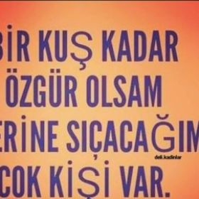 Isilisil01
