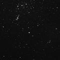 colesgirl