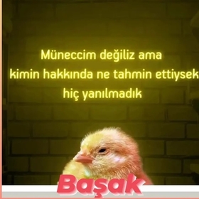 Minetlmcu