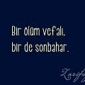 pnar94