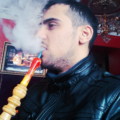 LaDeS480