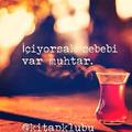 bbüüşşrraassooyyll