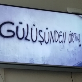 Melek244