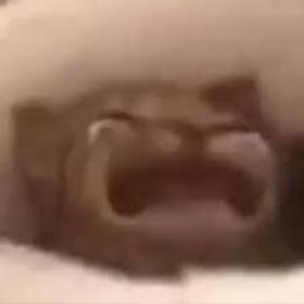 ayeshaerotica