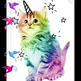 hivamcat