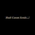 serserinim19