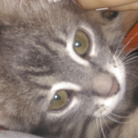 Eceeemm