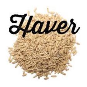 Haver28