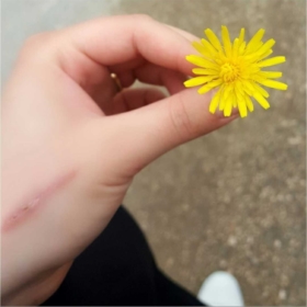 saresoyluu