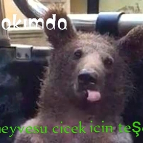 Farkliciçekkk