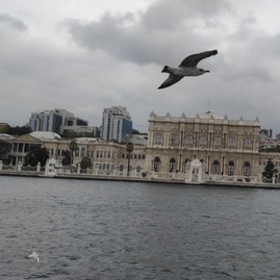 Gizem3435