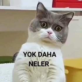 MeldaMeldasu