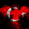 Selim27100