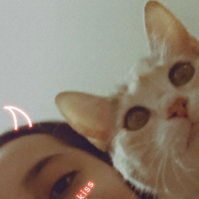 ccaenssue