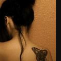 Sazan34