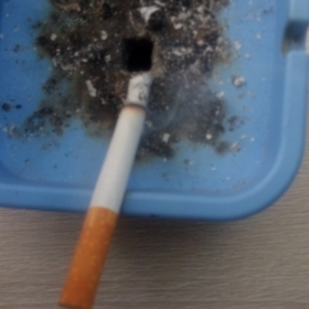 Entero