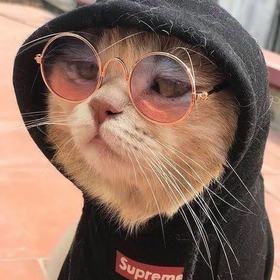 MRseMpatik