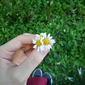 Çağlayım