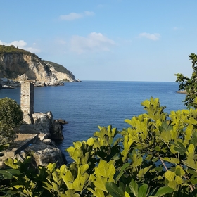 burkiidiyebilirsiniz