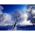 blue2808