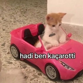 Haticeünver1