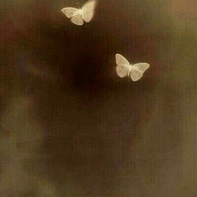 qxlyaea