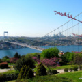 Tarık101