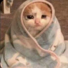 Niloyaag