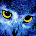 GeceKusuBlue