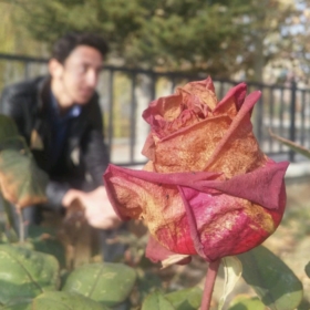 biryonetmen